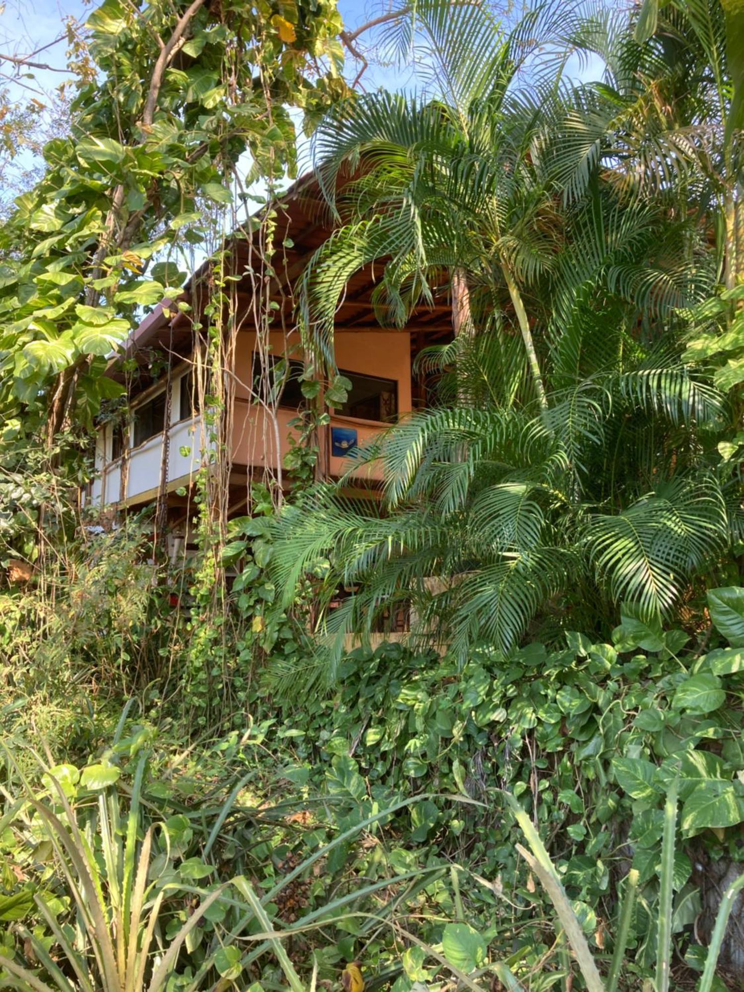 Mundo Milo Eco Lodge Paraíso Exterior photo